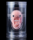 Cryptobiotes Figure Mascot